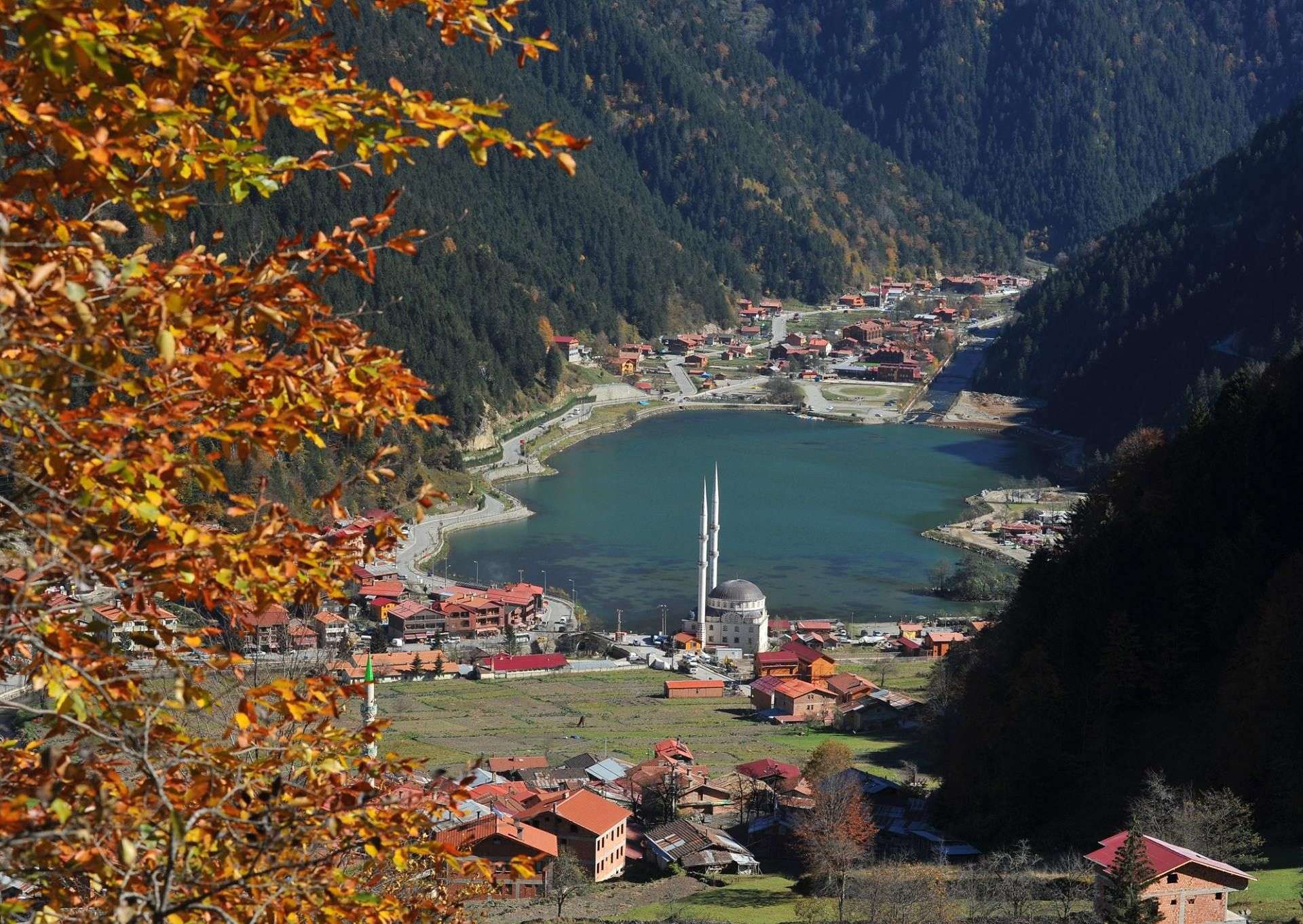 paradise tours trabzon